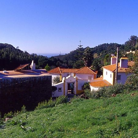 アゾイア・コラレス・シントラ Quinta Do Rio Touro Bed & Breakfast エクステリア 写真