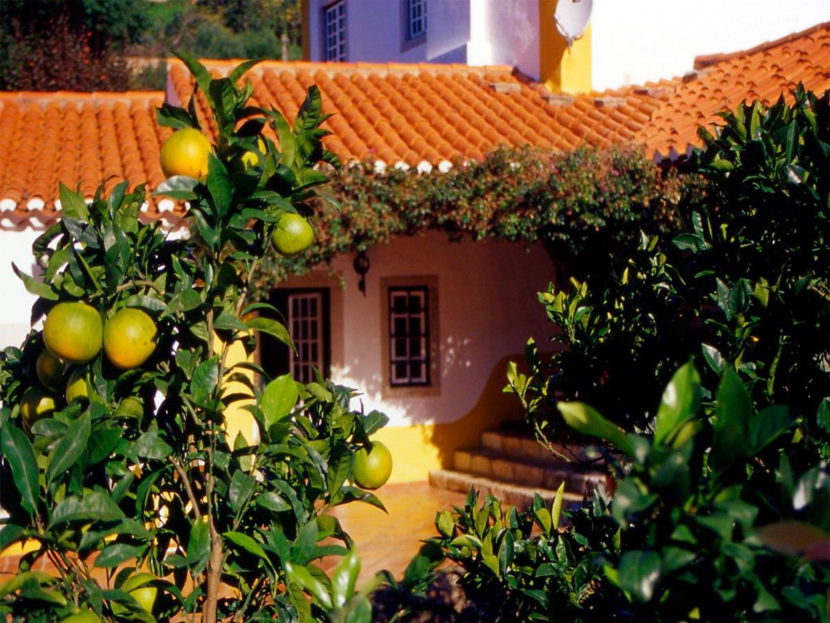 アゾイア・コラレス・シントラ Quinta Do Rio Touro Bed & Breakfast エクステリア 写真