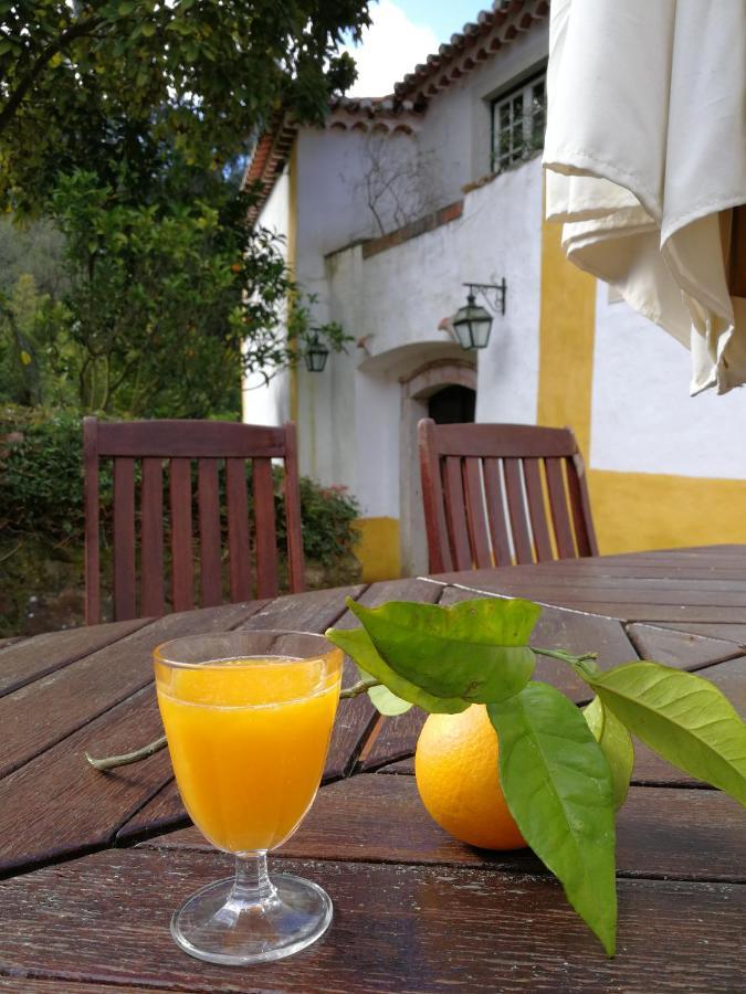 アゾイア・コラレス・シントラ Quinta Do Rio Touro Bed & Breakfast エクステリア 写真