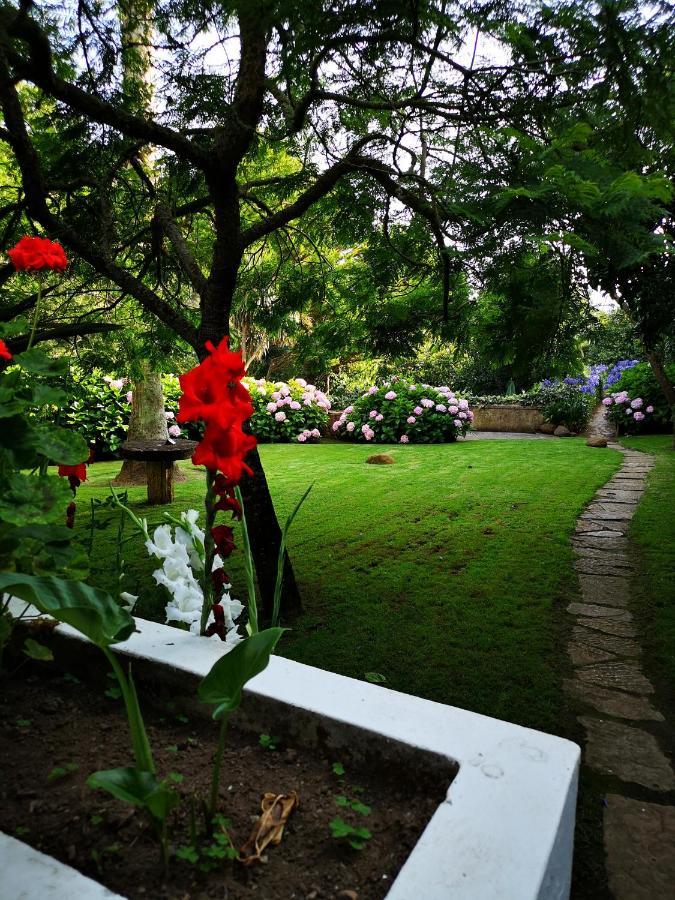 アゾイア・コラレス・シントラ Quinta Do Rio Touro Bed & Breakfast エクステリア 写真