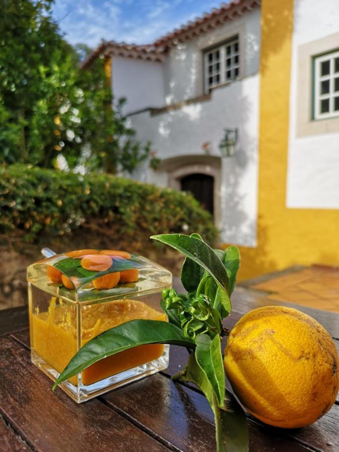 アゾイア・コラレス・シントラ Quinta Do Rio Touro Bed & Breakfast エクステリア 写真